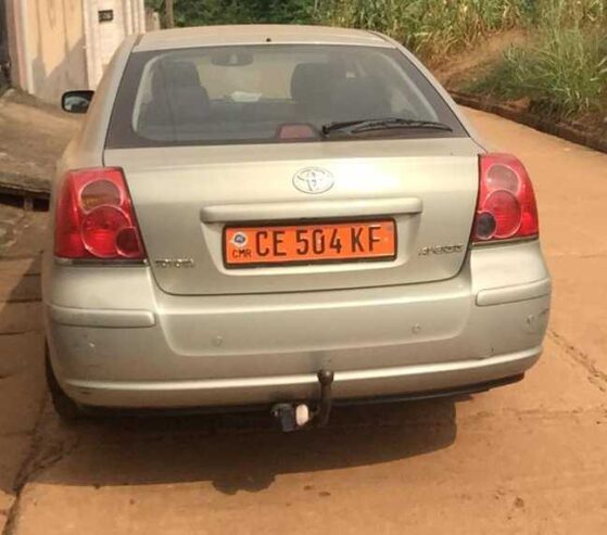 Avensis tête de cochon à vendre