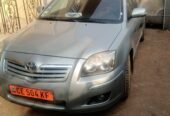 Avensis tête de cochon à vendre