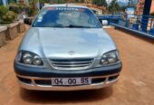 Avensis