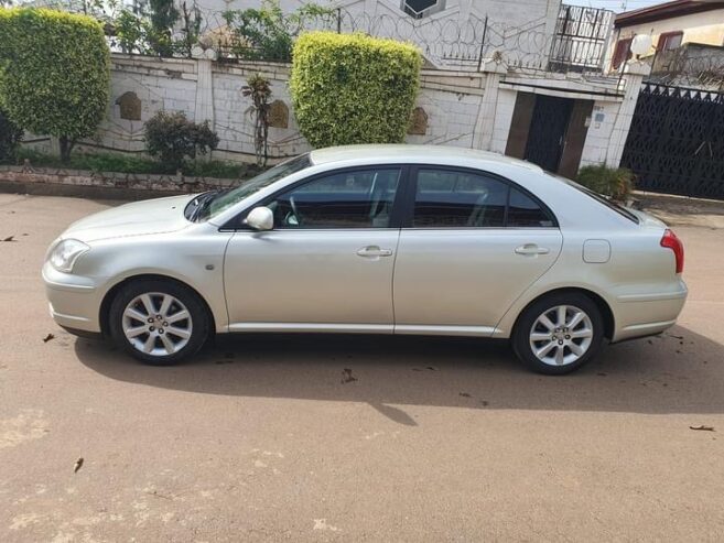 TOYOTA AVENSIS 2006 TETE DE COCHON