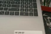HP 255 G7