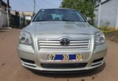 TOYOTA AVENSIS 2006 TETE DE COCHON