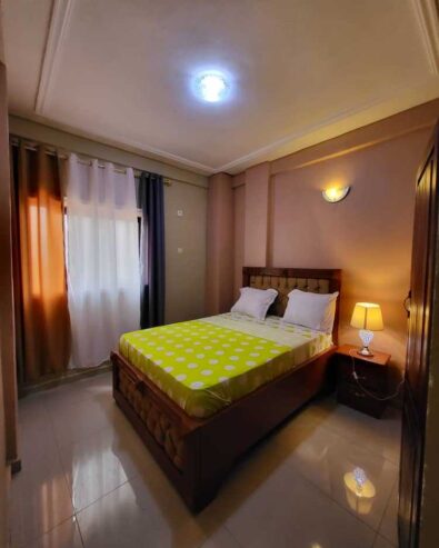 Appartement meublé très luxueux