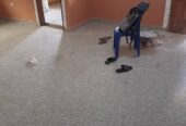 Appartement neuf avec parking forage à Odza. 3 chambres 2 douches