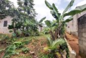 Terrain + Maison à vendre à Mbankomo