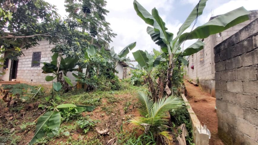 Terrain + Maison à vendre à Mbankomo