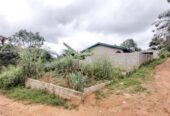 Terrain de 600m² + Maison à Mbankomo