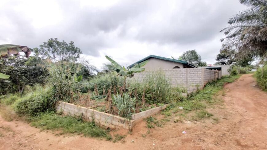 Terrain de 600m² + Maison à Mbankomo