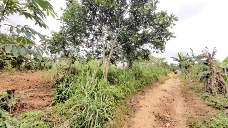 Terrain de 600m² + Maison à Mbankomo