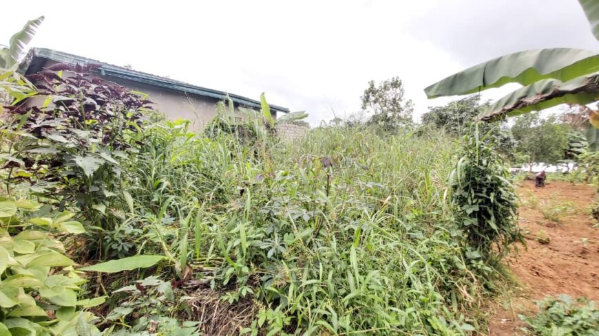 Terrain de 600m² + Maison à Mbankomo