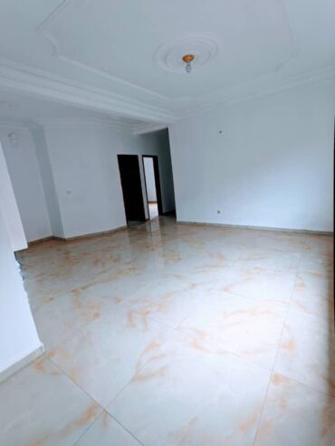 Appartement neuf haut standing, avec parking, forage à Odza petit marché.2 chambres 3 douches.