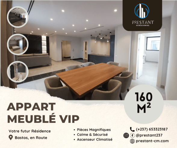 Magnifique Appartement Meublé VIP avec Ascenseur Climatisé