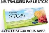 Cellules souches vegetales STC30