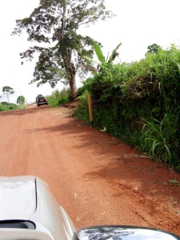 Terrain titré et loti à Binguela Bibé