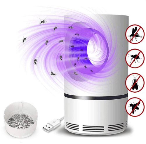 Mosquito 🦗 Lamp