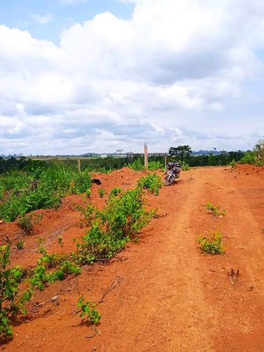 Terrain à vendre 6000m2 prix 1300fcfa nn discutable a yde périphérique de nkolbisson lieu ongot