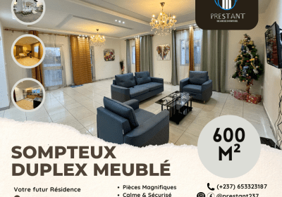 Affiche-Sompteux-Duplex-Meuble