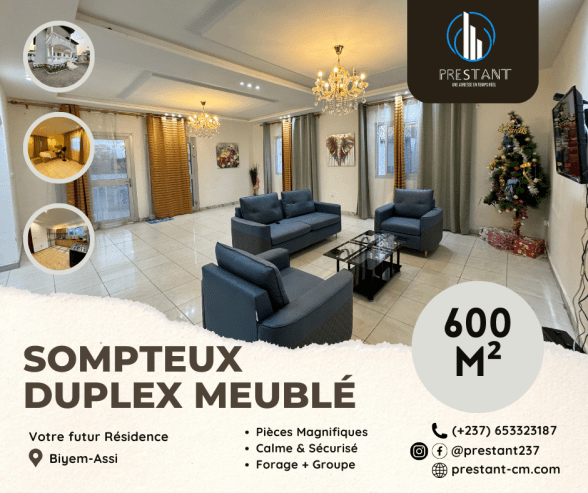 Somptueux Duplex Meublé de 600m² à louer à Biyem-Assi