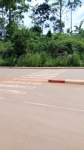 Terrain titré à Yaoundé