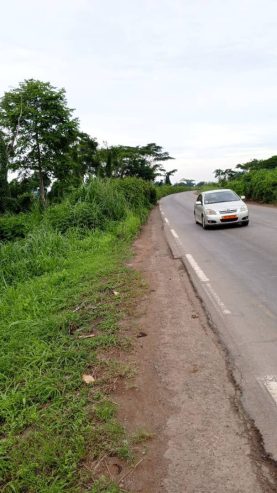 Terrain titré à Yaoundé mbankomo