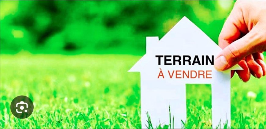 Terrain commercial titré de 3 hectares à vendre en face SOPECAM juste à côté des Brasserie de Mvog-Mbi